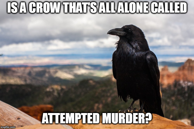 I'd caw this one pretty bad, too | IS A CROW THAT'S ALL ALONE CALLED; ATTEMPTED MURDER? | image tagged in memes,murder of crows | made w/ Imgflip meme maker