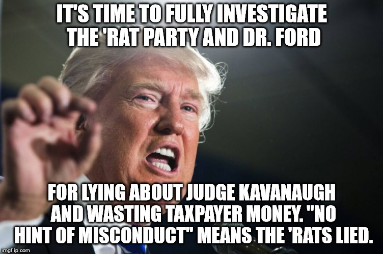 donald trump |  IT'S TIME TO FULLY INVESTIGATE THE 'RAT PARTY AND DR. FORD; FOR LYING ABOUT JUDGE KAVANAUGH AND WASTING TAXPAYER MONEY. "NO HINT OF MISCONDUCT" MEANS THE 'RATS LIED. | image tagged in donald trump | made w/ Imgflip meme maker