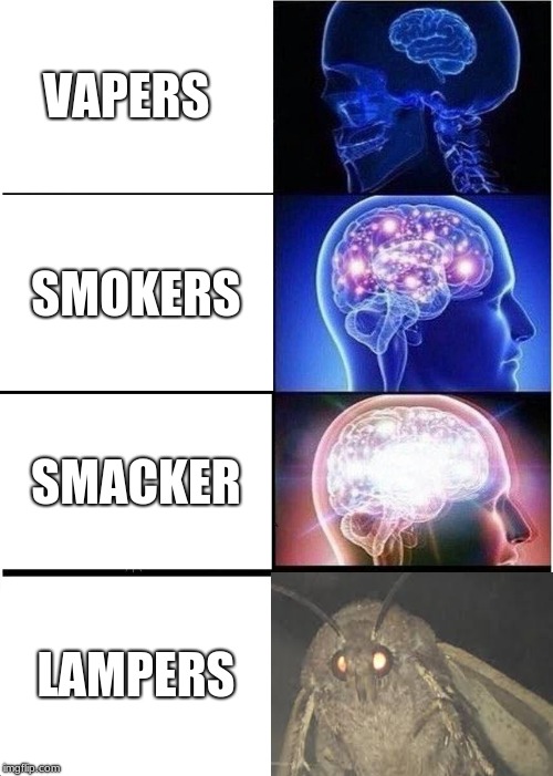 Expanding Brain Meme | VAPERS; SMOKERS; SMACKER; LAMPERS | image tagged in memes,expanding brain | made w/ Imgflip meme maker