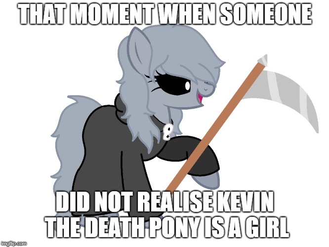 Kevina the death pony | THAT MOMENT WHEN SOMEONE; DID NOT REALISE KEVIN THE DEATH PONY IS A GIRL | image tagged in funny memes | made w/ Imgflip meme maker