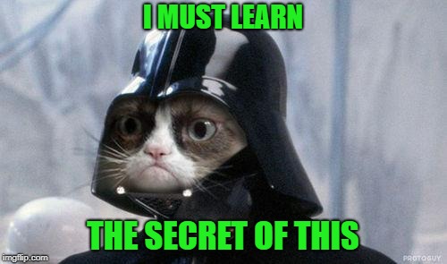Grumpy Cat Star Wars Meme | I MUST LEARN THE SECRET OF THIS | image tagged in memes,grumpy cat star wars,grumpy cat | made w/ Imgflip meme maker