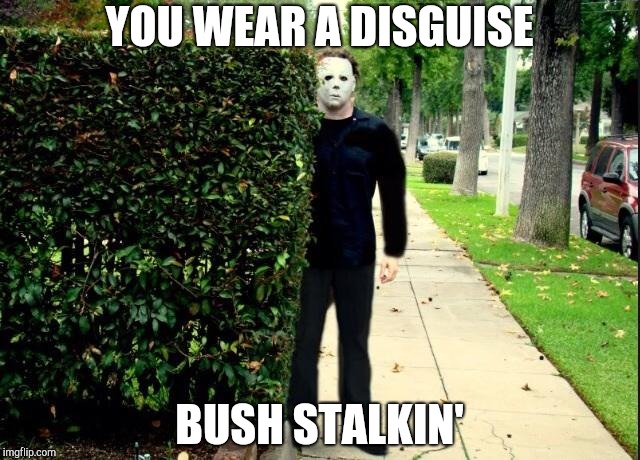 Bush Stalkin' | YOU WEAR A DISGUISE; BUSH STALKIN' | image tagged in michael myers bush stalking,michael myers,halloween,horror,horror movie,the beegees | made w/ Imgflip meme maker