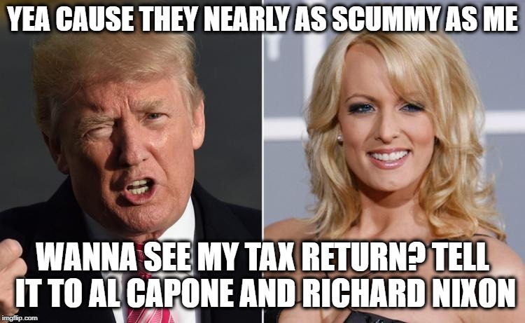 Trump Stormy Daniels | YEA CAUSE THEY NEARLY AS SCUMMY AS ME WANNA SEE MY TAX RETURN? TELL IT TO AL CAPONE AND RICHARD NIXON | image tagged in trump stormy daniels | made w/ Imgflip meme maker