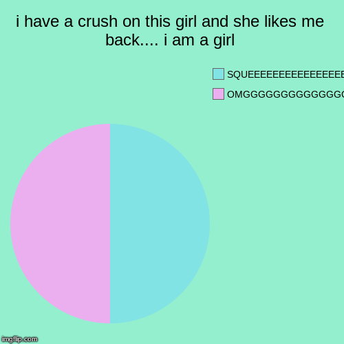 i have a crush on this girl and she likes me back.... i am a girl | OMGGGGGGGGGGGGGGGGGG, SQUEEEEEEEEEEEEEEEEEEEEEEEEEEEEEEEEEEEEEEEEEE | image tagged in funny,pie charts | made w/ Imgflip chart maker