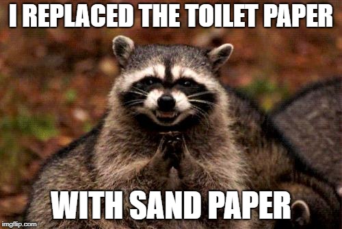 Evil Plotting Raccoon | I REPLACED THE TOILET PAPER; WITH SAND PAPER | image tagged in memes,evil plotting raccoon | made w/ Imgflip meme maker