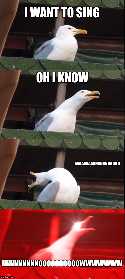 Inhaling Seagull Meme | I WANT TO SING; OH I KNOW; AAAAAAAANNNNNNDDDDD; NNNNNNNNNOOOOOOOOOOWWWWWWW | image tagged in memes,inhaling seagull | made w/ Imgflip meme maker