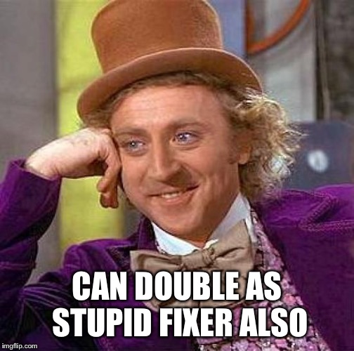 Creepy Condescending Wonka Meme | CAN DOUBLE AS STUPID FIXER ALSO | image tagged in memes,creepy condescending wonka | made w/ Imgflip meme maker