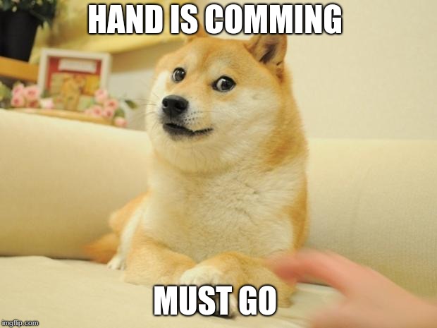 Doge 2 | HAND IS COMMING; MUST GO | image tagged in memes,doge 2 | made w/ Imgflip meme maker