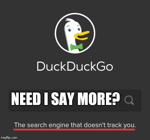 DuckDuckGo | NEED I SAY MORE? ______________ | image tagged in duckduckgo | made w/ Imgflip meme maker