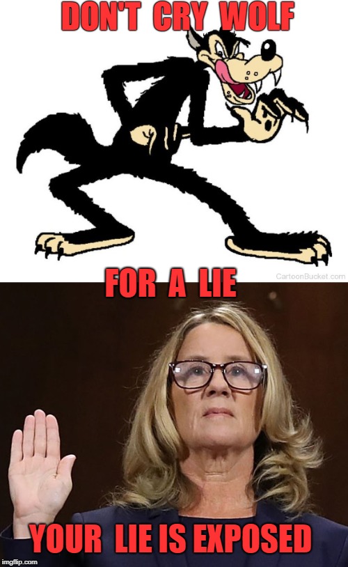 Shameful lying for false character assassination | DON'T  CRY  WOLF; FOR  A  LIE; YOUR  LIE IS EXPOSED | image tagged in christine blasey ford,kavanaugh,brett kavanaugh,democrats,liberals | made w/ Imgflip meme maker