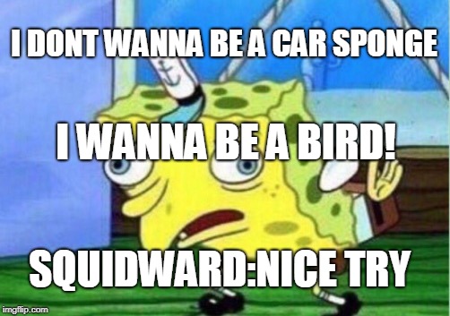 Mocking Spongebob Meme | I DONT WANNA BE A CAR SPONGE; I WANNA BE A BIRD! SQUIDWARD:NICE TRY | image tagged in memes,mocking spongebob | made w/ Imgflip meme maker