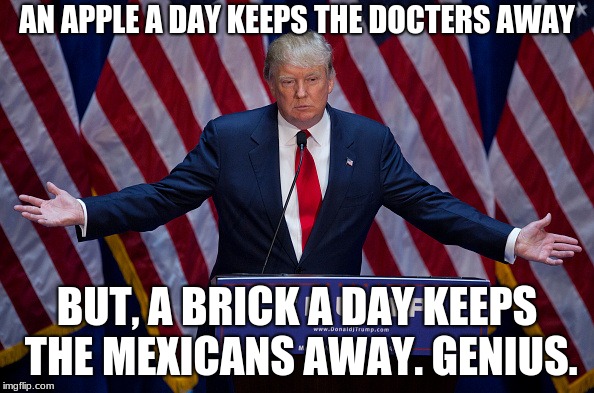 Donald Trump | AN APPLE A DAY KEEPS THE DOCTERS AWAY; BUT, A BRICK A DAY KEEPS THE MEXICANS AWAY. GENIUS. | image tagged in donald trump | made w/ Imgflip meme maker