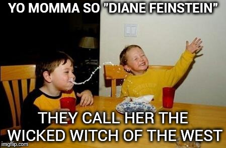 No one can find something that isn't there | YO MOMMA SO "DIANE FEINSTEIN"; THEY CALL HER THE WICKED WITCH OF THE WEST | image tagged in yo momma so fat,fbi investigation,your argument is invalid,stop it,facts,important | made w/ Imgflip meme maker