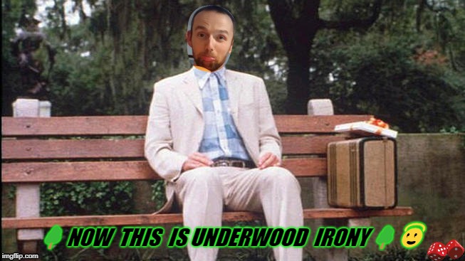 🌳 NOW  THIS  IS UNDERWOOD  IRONY 🌳 😇 | image tagged in forrest gump | made w/ Imgflip meme maker