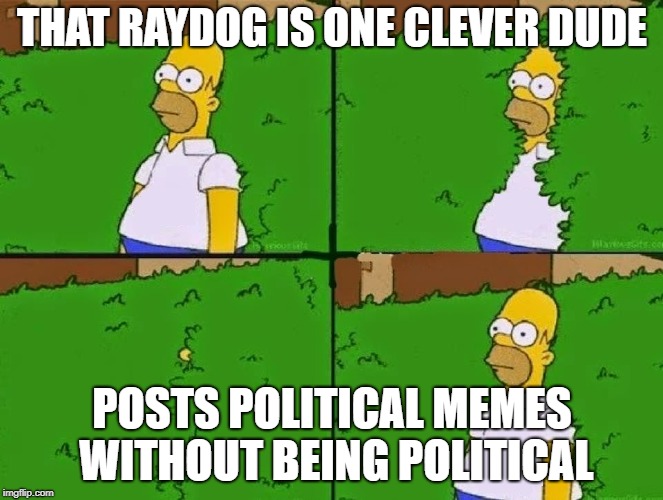 HOMER BUSH | THAT RAYDOG IS ONE CLEVER DUDE POSTS POLITICAL MEMES WITHOUT BEING POLITICAL | image tagged in homer bush | made w/ Imgflip meme maker