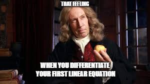 The New Calculus Student | THAT FEELING; WHEN YOU DIFFERENTIATE YOUR FIRST LINEAR EQUATION | image tagged in sir isaac newton,calculus | made w/ Imgflip meme maker
