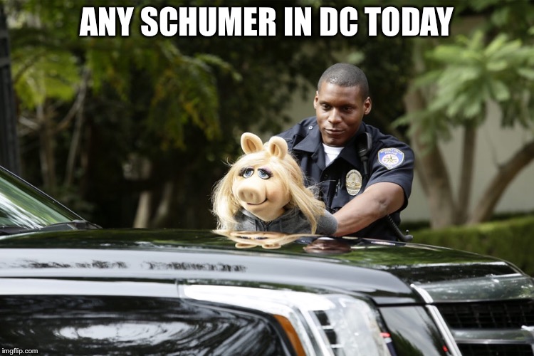 Amy Schumer went for a ride today | ANY SCHUMER IN DC TODAY | image tagged in amy schumer | made w/ Imgflip meme maker