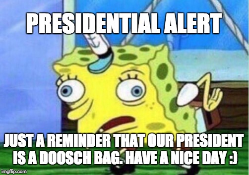 Alert boys | PRESIDENTIAL ALERT; JUST A REMINDER THAT OUR PRESIDENT IS A DOOSCH BAG.
HAVE A NICE DAY :) | image tagged in memes,mocking spongebob | made w/ Imgflip meme maker