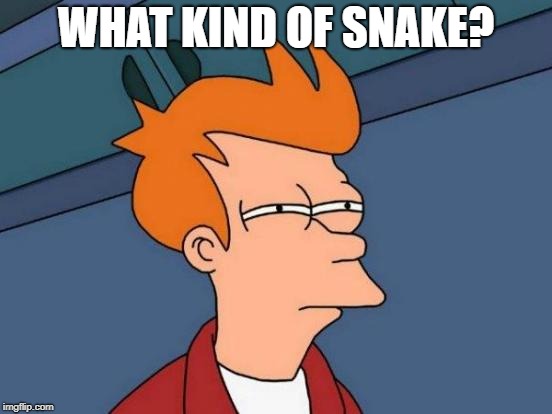 Futurama Fry Meme | WHAT KIND OF SNAKE? | image tagged in memes,futurama fry | made w/ Imgflip meme maker