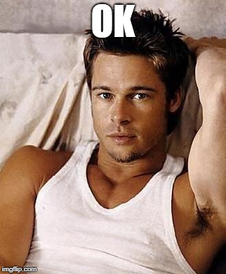Young Sexy Brad Pitt | OK | image tagged in young sexy brad pitt | made w/ Imgflip meme maker