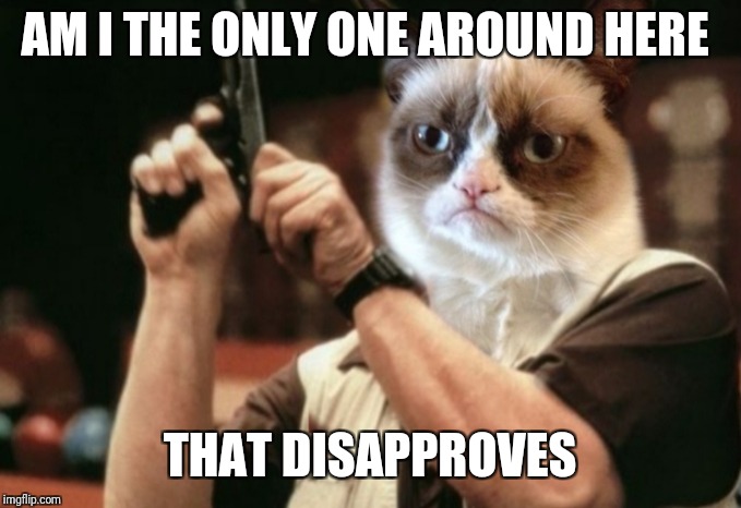 Grumpy cat | AM I THE ONLY ONE AROUND HERE THAT DISAPPROVES | image tagged in grumpy cat | made w/ Imgflip meme maker