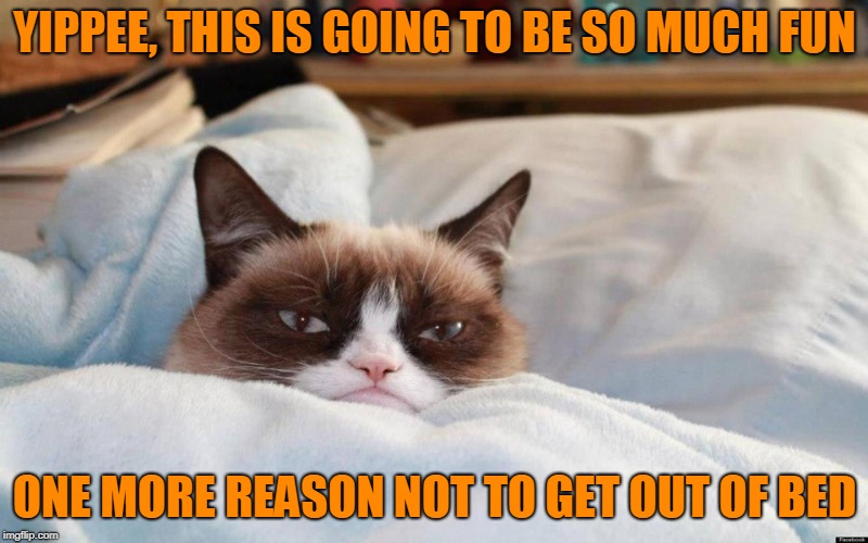 grumpy cat bed | YIPPEE, THIS IS GOING TO BE SO MUCH FUN ONE MORE REASON NOT TO GET OUT OF BED | image tagged in grumpy cat bed | made w/ Imgflip meme maker