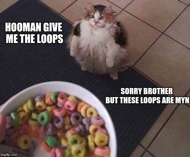Fruit Loops | HOOMAN GIVE ME THE LOOPS; SORRY BROTHER BUT THESE LOOPS ARE MYN | image tagged in fruit loops | made w/ Imgflip meme maker