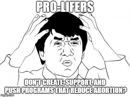In the mean time, you're doing what? | PRO-LIFERS; DON'T CREATE, SUPPORT, AND PUSH PROGRAMS THAT REDUCE ABORTION? | image tagged in abortion,abortion is murder,politics,womens rights,support,prolife | made w/ Imgflip meme maker
