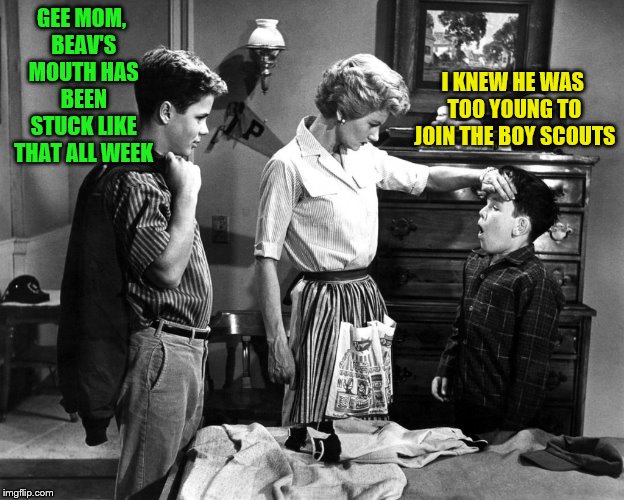 Leave It In Beaver | GEE MOM, BEAV'S MOUTH HAS BEEN STUCK LIKE THAT ALL WEEK; I KNEW HE WAS TOO YOUNG TO JOIN THE BOY SCOUTS | image tagged in leave it to beaver,boy scouts,memes | made w/ Imgflip meme maker