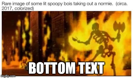 BOTTOM TEXT | image tagged in we may raid this site soon | made w/ Imgflip meme maker