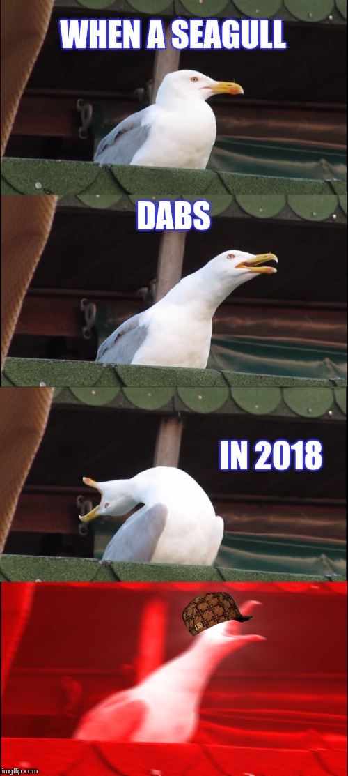 Inhaling Seagull Meme | WHEN A SEAGULL; DABS; IN 2018 | image tagged in memes,inhaling seagull,scumbag | made w/ Imgflip meme maker