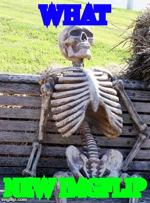 Oh Boi. | WHAT; NEW IMGFLIP | image tagged in memes,waiting skeleton | made w/ Imgflip meme maker