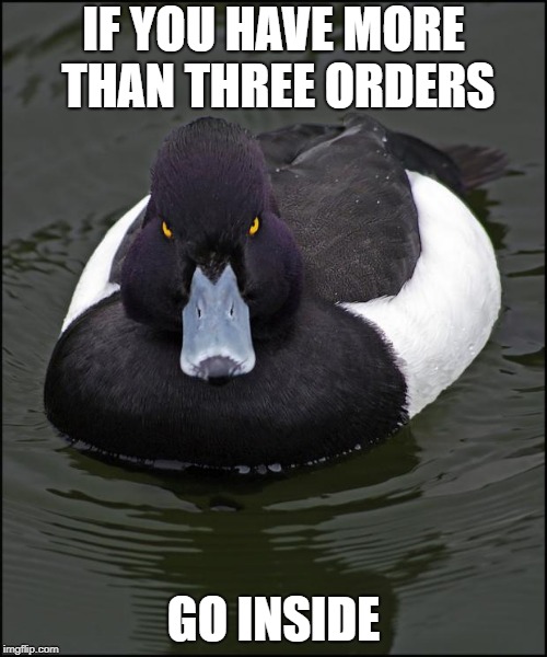 Angry duck | IF YOU HAVE MORE THAN THREE ORDERS; GO INSIDE | image tagged in angry duck,AdviceAnimals | made w/ Imgflip meme maker