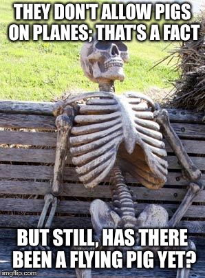 Waiting Skeleton Meme | THEY DON'T ALLOW PIGS ON PLANES; THAT'S A FACT; BUT STILL, HAS THERE BEEN A FLYING PIG YET? | image tagged in memes,waiting skeleton | made w/ Imgflip meme maker
