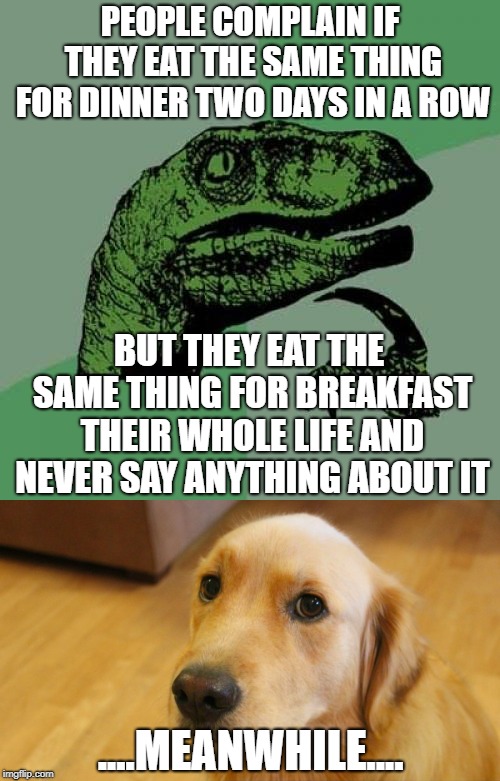 The struggle is real | PEOPLE COMPLAIN IF THEY EAT THE SAME THING FOR DINNER TWO DAYS IN A ROW; BUT THEY EAT THE SAME THING FOR BREAKFAST THEIR WHOLE LIFE AND NEVER SAY ANYTHING ABOUT IT; ....MEANWHILE.... | image tagged in dogs,philosoraptor,memes,funny | made w/ Imgflip meme maker