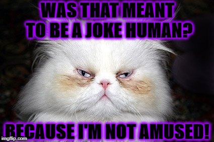WAS THAT MEANT TO BE A JOKE HUMAN? BECAUSE I'M NOT AMUSED! | image tagged in not amused | made w/ Imgflip meme maker