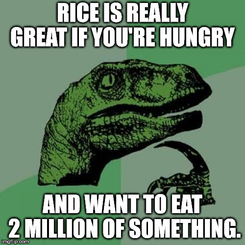 Philosoraptor | RICE IS REALLY GREAT IF YOU'RE HUNGRY; AND WANT TO EAT 2 MILLION OF SOMETHING. | image tagged in memes,philosoraptor | made w/ Imgflip meme maker