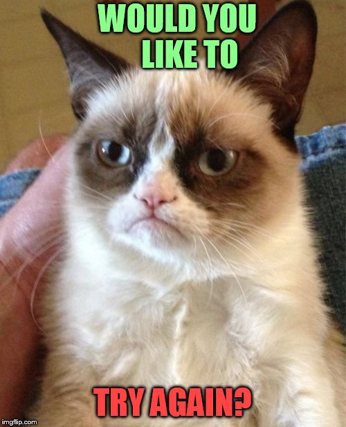 Grumpy Cat Meme | WOULD YOU    LIKE TO TRY AGAIN? | image tagged in memes,grumpy cat | made w/ Imgflip meme maker