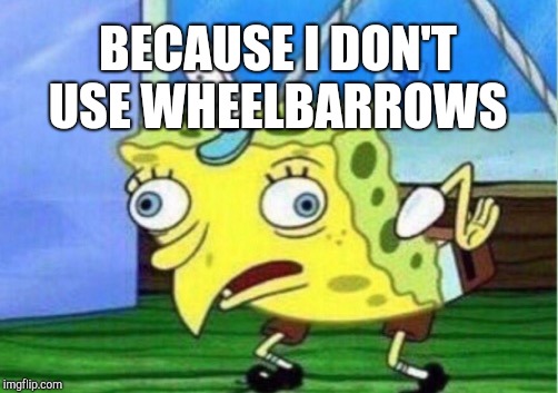 Mocking Spongebob Meme | BECAUSE I DON'T USE WHEELBARROWS | image tagged in memes,mocking spongebob | made w/ Imgflip meme maker