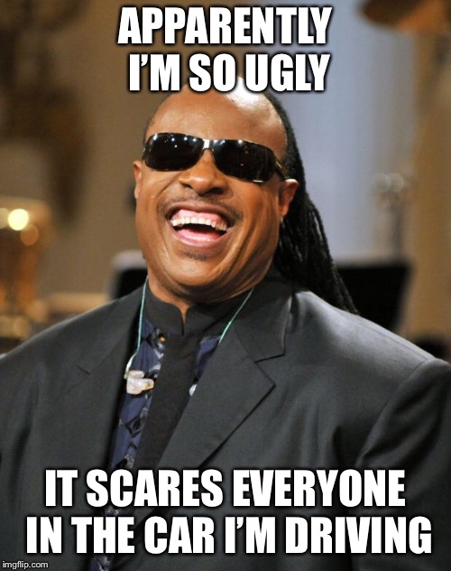 •_• | APPARENTLY I’M SO UGLY; IT SCARES EVERYONE IN THE CAR I’M DRIVING | image tagged in stevie wonder,memes,blind man,cars | made w/ Imgflip meme maker