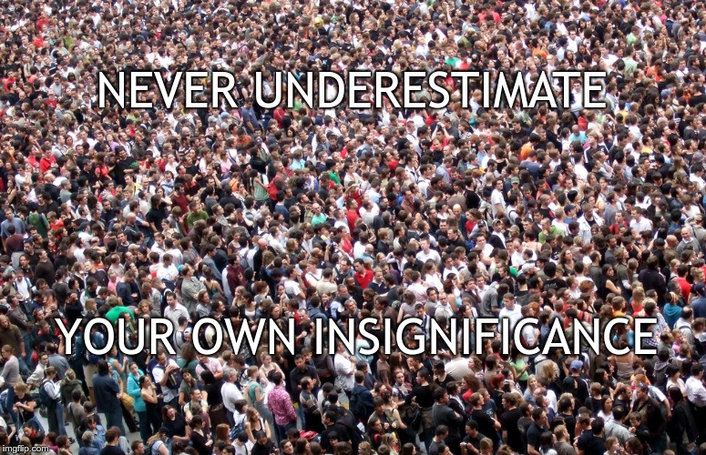 NEVER UNDERESTIMATE; YOUR OWN INSIGNIFICANCE | image tagged in demotivationals | made w/ Imgflip meme maker