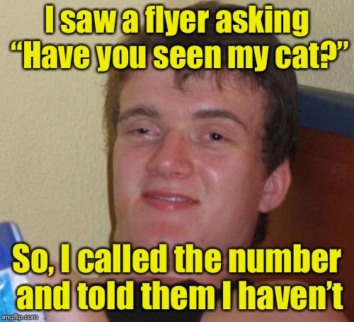 I like to be helpful where I can | I saw a flyer asking “Have you seen my cat?”; So, I called the number and told them I haven’t | image tagged in memes,10 guy,cat | made w/ Imgflip meme maker