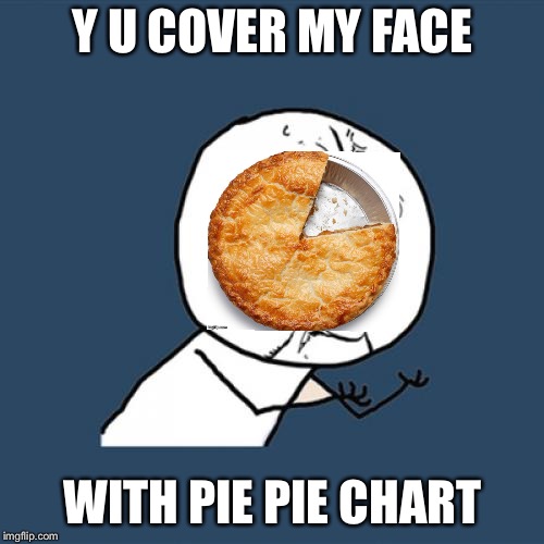 Y U No Meme | Y U COVER MY FACE WITH PIE PIE CHART | image tagged in memes,y u no | made w/ Imgflip meme maker