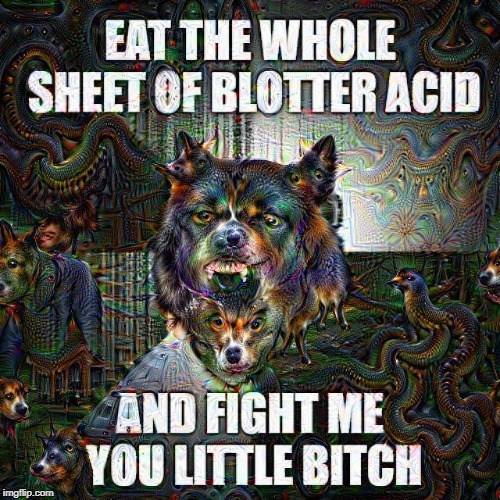 Insanity Wolf on Acid | image tagged in insanity wolf,acid,wtf,help me,melting,drugs are bad | made w/ Imgflip meme maker