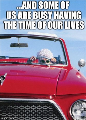 Old Lady Driver | ...AND SOME OF US ARE BUSY HAVING THE TIME OF OUR LIVES | image tagged in old lady driver | made w/ Imgflip meme maker