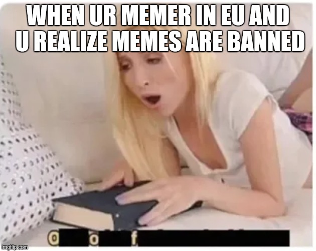 EU why u doin this |  WHEN UR MEMER IN EU AND U REALIZE MEMES ARE BANNED | image tagged in eu,article 13,oof,memers,first world problems | made w/ Imgflip meme maker