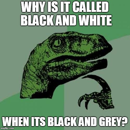 Philosoraptor | WHY IS IT CALLED BLACK AND WHITE; WHEN ITS BLACK AND GREY? | image tagged in memes,philosoraptor | made w/ Imgflip meme maker