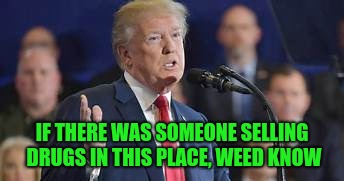 Donald..The Drug Dealers are the Pharmaceutical Companies | IF THERE WAS SOMEONE SELLING DRUGS IN THIS PLACE, WEED KNOW | image tagged in donaldthe drug dealers are the pharmaceutical companies | made w/ Imgflip meme maker