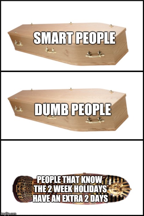 Coffin Meme | SMART PEOPLE; DUMB PEOPLE; PEOPLE THAT KNOW THE 2 WEEK HOLIDAYS HAVE AN EXTRA 2 DAYS | image tagged in coffin,meme,smart people,dumb people | made w/ Imgflip meme maker