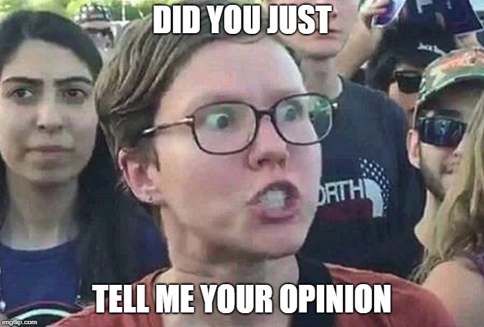Nobody but you gives a shit | DID YOU JUST; TELL ME YOUR OPINION | image tagged in triggered liberal | made w/ Imgflip meme maker